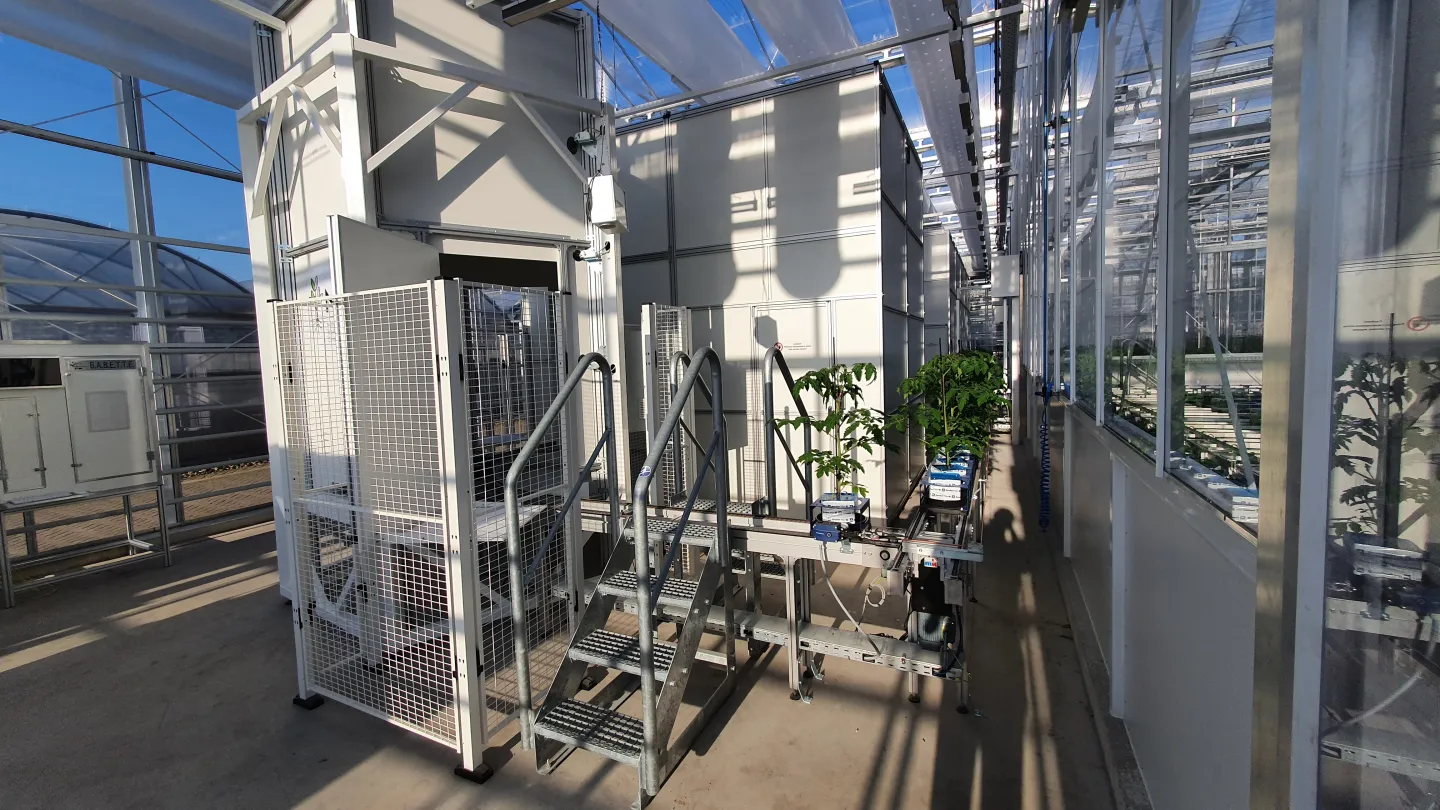 NPEC at WUR — a conveyor-belt phenotyping system inside a high-tech glass greenhouse, with sensor cabinets and tomato plants on automated carriers.